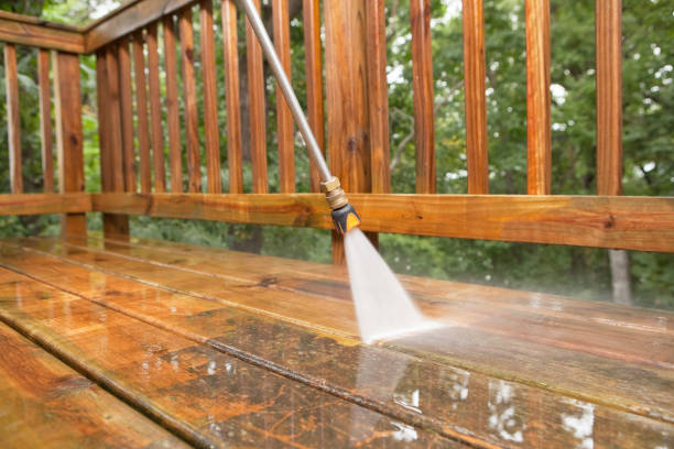 Best Roof Pressure Washing  in Newark, IL